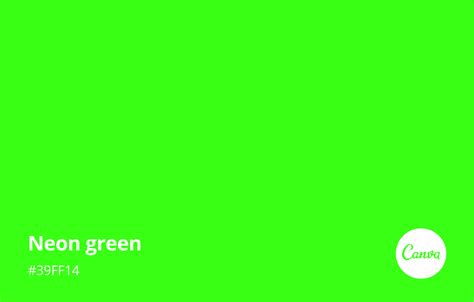 Everything about the color Neon Green .